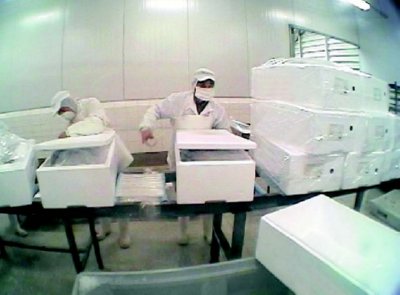 industria salmon (47)  ALIMENTOS MERCADO